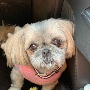 Meet your Posher, Kathy